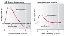 Blood Glucose Changes Following Carbohydrate Intake (Glycaemic Index).