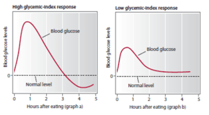 Blood Glucose Changes Following Carbohydrate Intake (Glycaemic Index).