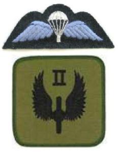 No.2 Sqn, RAF Regt (1)