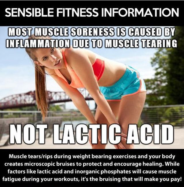 Sensible Fitness Information
