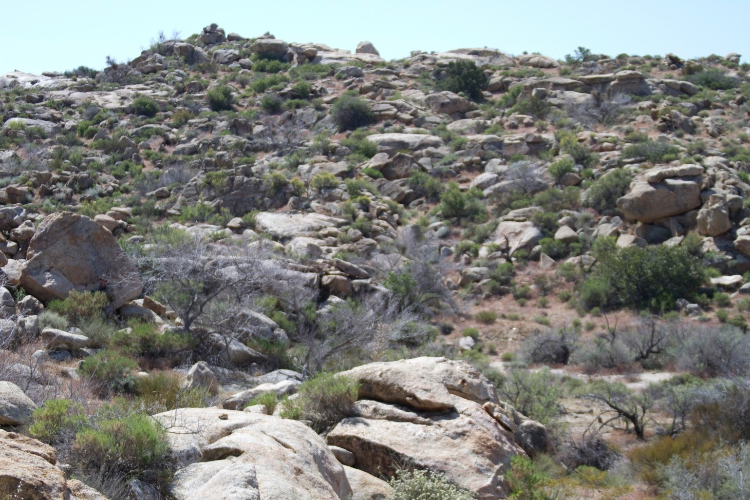 Soldier, Camouflage (2)