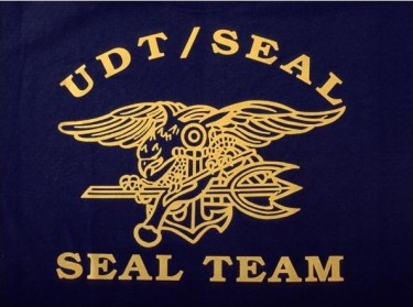 US Navy SEAL, Trident, Special Forces, Naval Special Warfare (2)