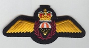 CFSSAR, SAR Tech Wings