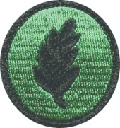 Einzelkämpferlehrgang 1 (EKL 1) Patch