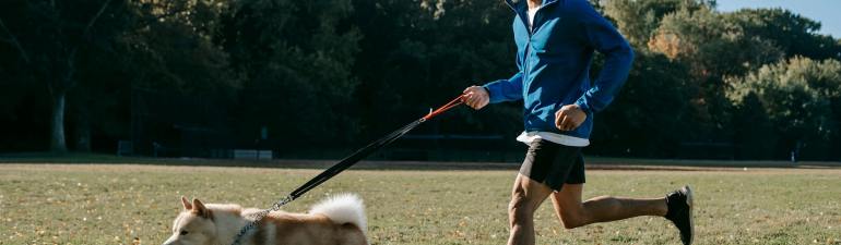 active man training with dog