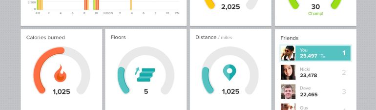 FitBit Online Dashboard