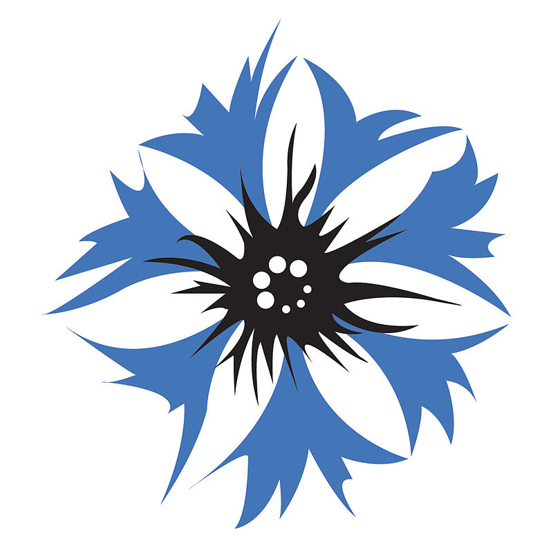 The cornflower is the official flower and logo of the German-American Steuben Parade in New York