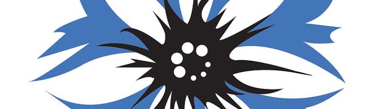 The cornflower is the official flower and logo of the German-American Steuben Parade in New York